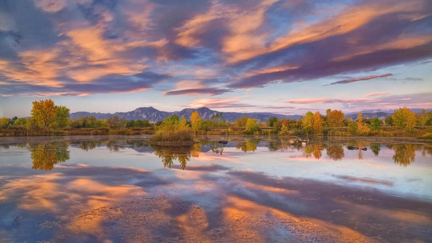 自动化网络化